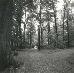 Oederan-Börnichen. Park des ehemaligen Rittergutes (Ende 18./Anfang 19. Jh.). Hauptallee