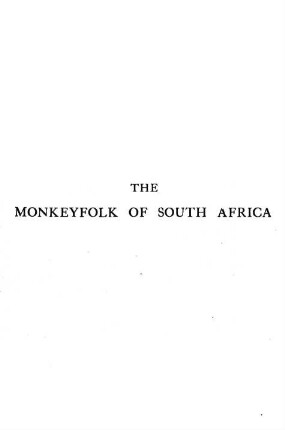 The monkeyfolk of South Africa