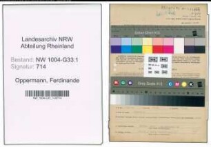 Entnazifizierung Ferdinande Oppermann , geb. 06.08.1903 (Direktorin)