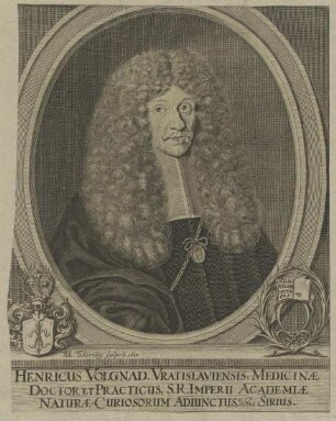 Bildnis des Henricus Volgnad