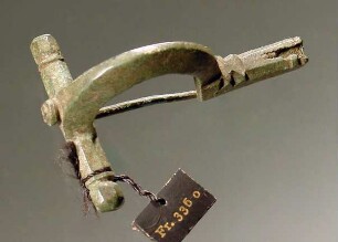 Bündel von fünf Fibeln