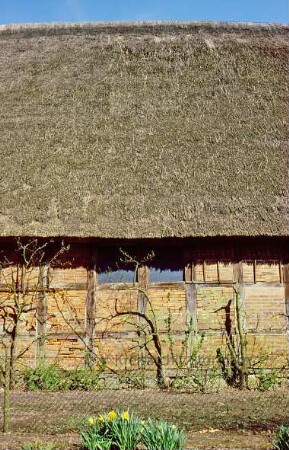 Herrenhaus Blumendorf: Scheune: Fenster und Reetdach
