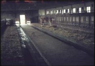 Oberflussschleppschaufelentmistungsanlage; KfL Päsmig-Saalfeld