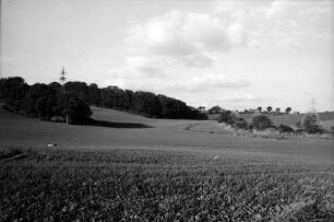 Zwischen Pöhls und Heilshoop: Feld: hinten rechts Knick: hinten links Wäldchen