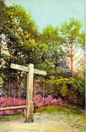 Ansicht aus der Lüneburger Heide