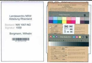Entnazifizierung Wilhelm Borgmann , geb. 16.02.1915 (Klempner)