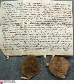 Graf Diether v. Katzenelnbogen bekundet, dass ihm Erzbischof Werner von Mainz gestattet hat, auf Lorscher Gebiet bei Biebesheim (Bubens-) eine Bef...