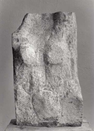 Torso