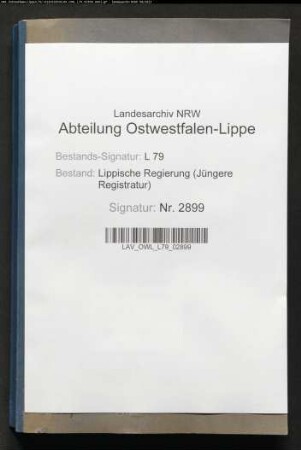 Anträge auf Ausstellung von Reisepässen, Pässe Nr. 201-300, 1919 und Sichtvermerke, Band 12