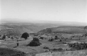 Landschaft in Hochebene : Landschaft in einer Hochebene mit einzelnen Steineiben.