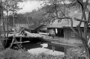 Polder der Richter-Bernhard-Schneidmühle