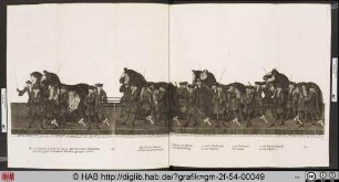 [Trauerzug: "Die Königliche Leiche"]