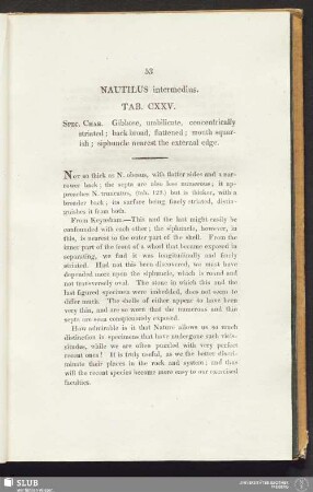 Nautilus intermedius. Tab. CXXV