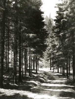 Sächsische Schweiz. Affensteine, Brosinnadel von der Unteren Affensteinpromenade, von NO