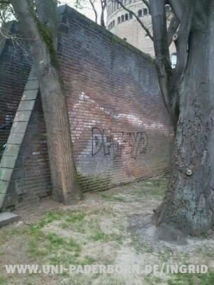 DFV LYP.