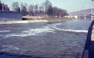 Esslingen, Neckar (verschmutzt)