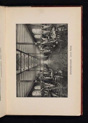 Kleinviehschlachthalle. Innere Ansicht.