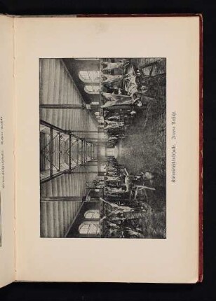 Kleinviehschlachthalle. Innere Ansicht.