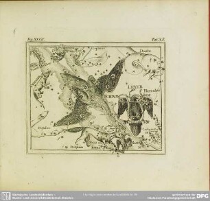Fig. XXVII
