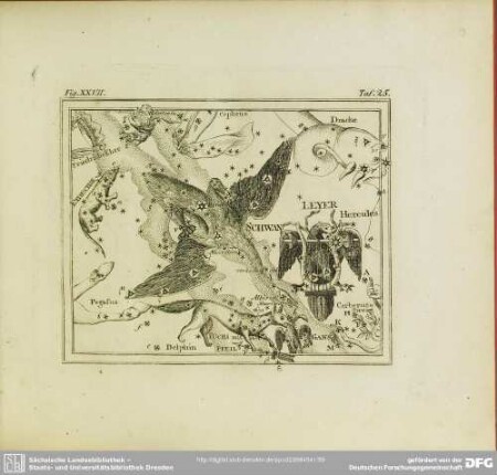 Fig. XXVII