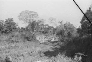 Landschaft beim Lager : Savannenlandschaft