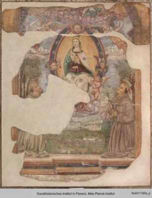 Madonna in der Glorie mit den Heiligen Franziskus und Antonius von Padua