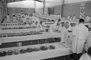 10. Qualitätsprüfung der Deutschen Landwirtschaftsgesellschaft für Brot- und Backwaren in Karlsruhe.
