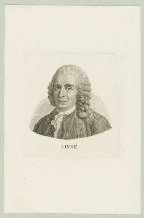 Bildnis des Linné