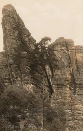 Elbsandsteingebirge : Elbsandsteingebirge. Jungfernstein oder Talwächter bei Rathen. Ostseite (Aufstieg von links nach rechts)