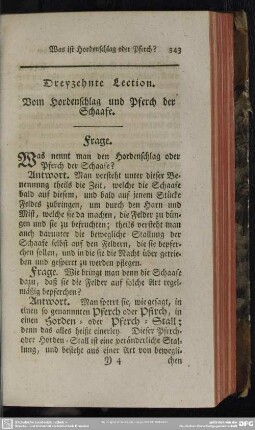Dreyzehnte Lection. Von Hordenschlag und Pferch der Schaafe