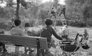 Sonniger Spätsommer und Herbst 1966.