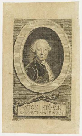 Bildnis des Anton Störck