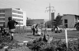Lörrach, Tüllingen: Gärtnerarbeit der Landwirtschaftsschule, Hintergrund Sonderschule