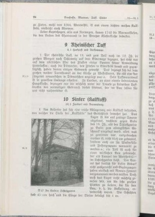 9 Rheinischer Tuff