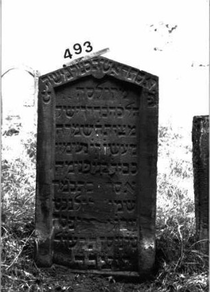 Grabstein 493