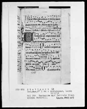 Antiphonarium (Benediktinerhandschrift) — Initiale V(eni sponsa Christi), Folio 201recto