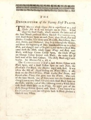 The Description of the Twenty First Plate