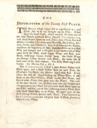 The Description of the Twenty First Plate
