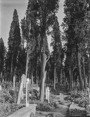 Alter Friedhof : Friedhof zwischen Bäumen bei Skutari