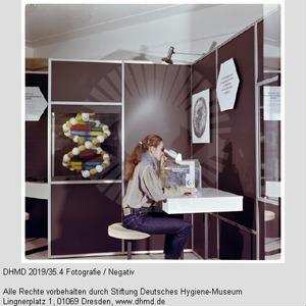 Hausausstellung - Raum 8