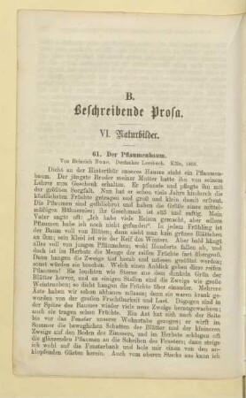 VI. Naturbilder