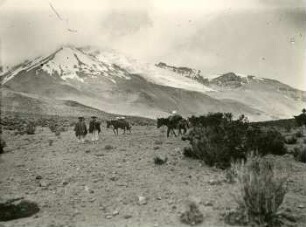 Stübelgletscher des Chimborazo von der Nordwest Loma aus