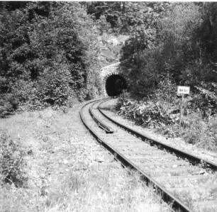 Tschechien. Bahnstrecke Liberec–Kořenov. Eingleisige Strecke der Zahnradbahn mit gefederter Zahnstange System Abt der Strecke mit gemischtem Adhäsions- und Zahnradantrieb. Blick gegen einen Tunnel