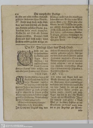 Die XV. Predigt über das Buch Hiob