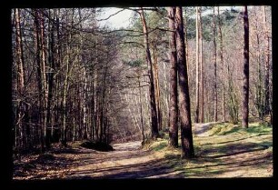 Grunewald 19.4.75.