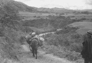 Am Rio Paez (Lateinamerika-Aufenthalte 1934/1942 – 2. Kolumbien 1934-1937)
