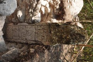 Chactun, Stela 14 (CTN: St. 14)