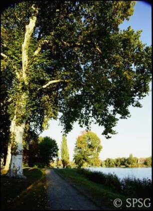 Potsdam, Neuer Garten, Parkansicht, Blick auf den Uferweg südlich der Küche, im Hintergrund Häuser am gegenüberliegenden Ufer.