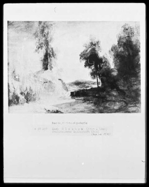 Italienische Landschaft / Landschaft mit hohen Bäumen