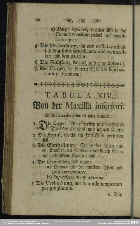 Tabula XIV. Von der Maxilla inferiori